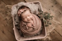 Image 1 of MAE BERRY COLLECTION | PREORDER