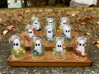 Image 1 of Ghost Terrariums
