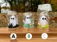 Image 2 of Ghost Terrariums