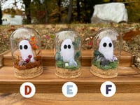 Image 3 of Ghost Terrariums