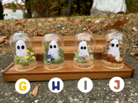 Image 4 of Ghost Terrariums