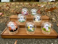 Image 1 of Ghost Globes