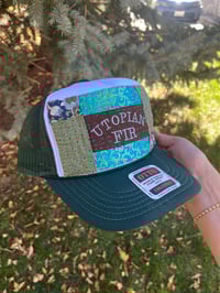 Image 2 of Utopian Fir