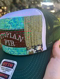 Image 5 of Utopian Fir