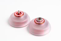 Image 6 of Sorbet (Paragon x Crucial)