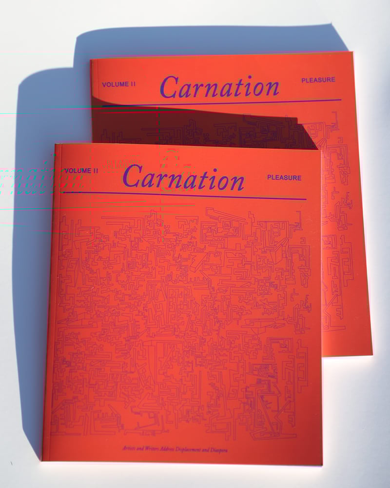 Image of Carnation Magazine Volume 2 (Pleasure)
