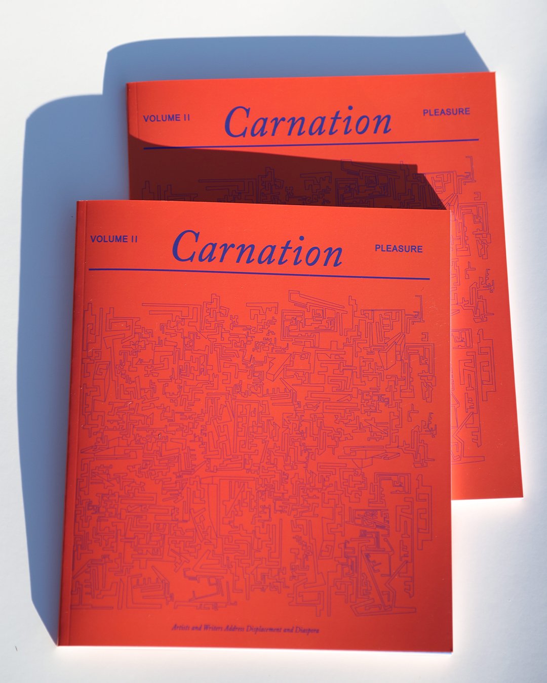 Image of Carnation Magazine Volume 2 (Pleasure)
