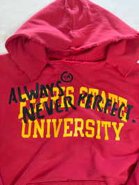 Image 2 of ANP University Hoodie