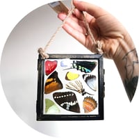 Image 3 of Butterfly & Moth Wing Hanging Small