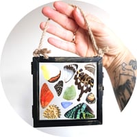Image 3 of Butterfly & Moth Wing Hanging Small I