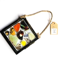 Image 1 of Butterfly & Moth Wing Hanging Small II