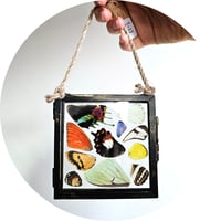Image 3 of Butterfly & Moth Wing Hanging Small II