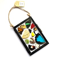 Image 1 of Butterfly & Moth Wing Hanging Medium II