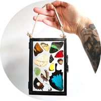 Image 3 of Butterfly & Moth Wing Hanging Medium II