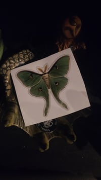 Image 7 of Cute, Spooky and Fun 3x3 inch