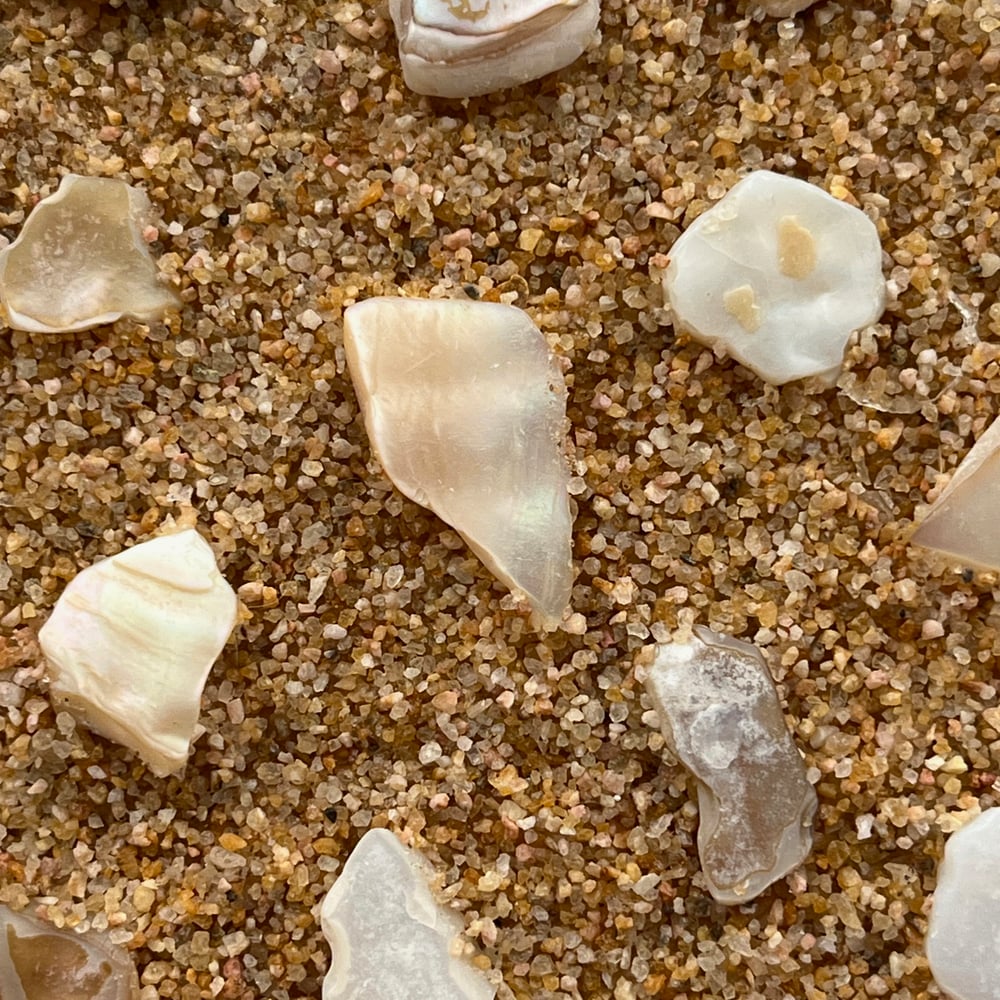 Medium Beach Painting