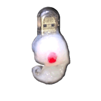 Image 1 of Angel Fetus (LITTER 2)