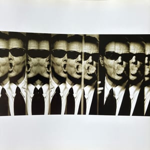 Image of The Vienna Album by Albert Watson