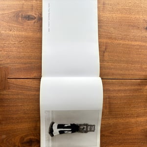 Image of The Vienna Album by Albert Watson