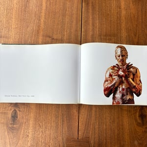 Image of The Vienna Album by Albert Watson