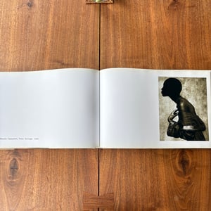 Image of The Vienna Album by Albert Watson