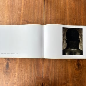 Image of The Vienna Album by Albert Watson
