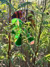 Image 4 of Light Green Wretch