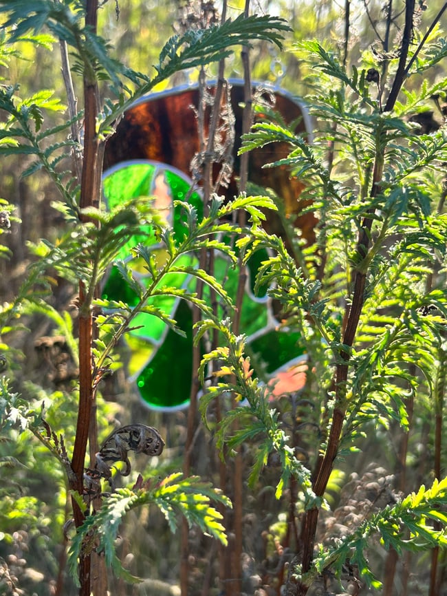 Frankenstein’s creation L green