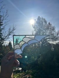 Image 2 of  Baby blue web