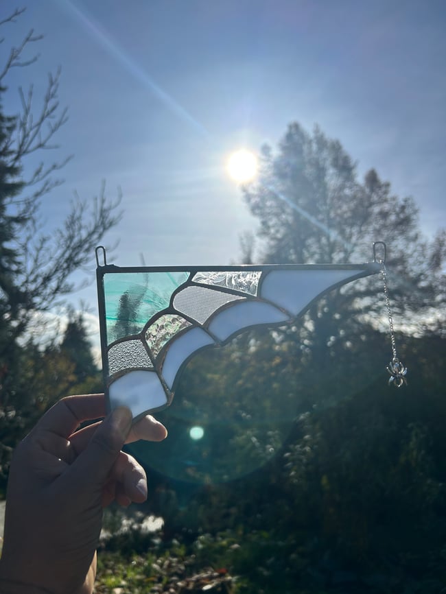  Baby blue spider web