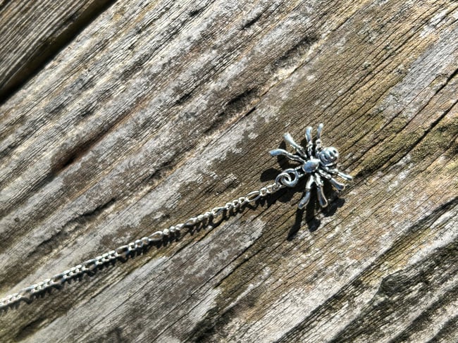  Baby blue spider web