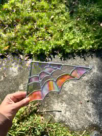 Image 3 of Peach spider web 