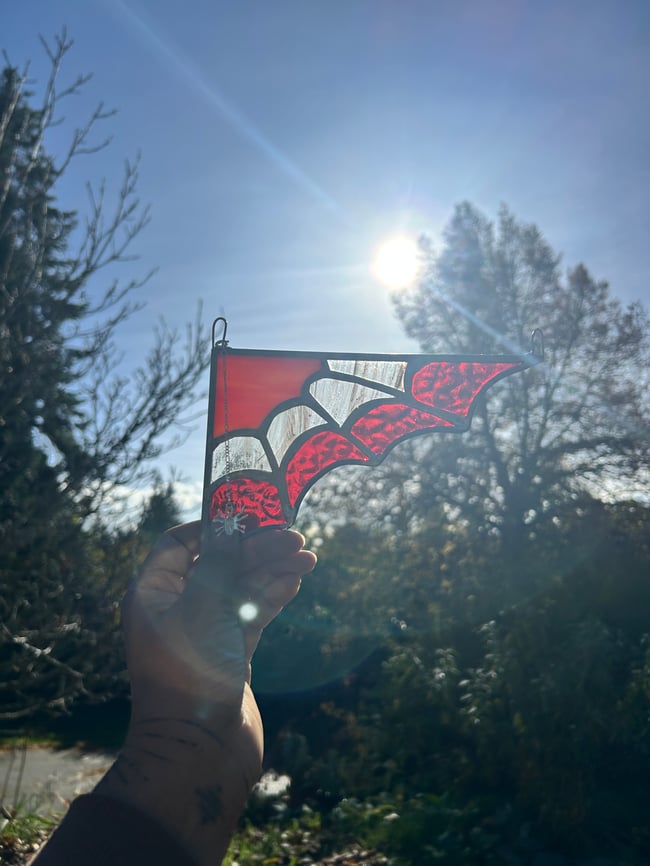 Pink & red spider web 