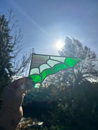 Image 2 of Small green web 