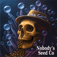 Image 1 of Wild Pawpaw