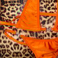 Image 2 of ଘ(ᵕ˵ ૩ᵕ)☆゚yummy double orange!!!! various sizes .*・。゚