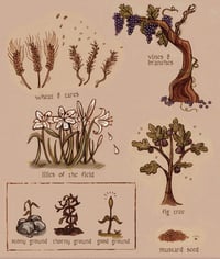 Parable plants 