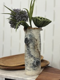 Image 2 of 8.5” Birch bark vase