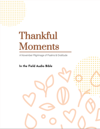 Image 1 of (E-Book) Thankful Moments: A November Pilgrimage of Psalms & Gratitude