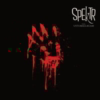 SPEkTR feat. Ustumallagam "A certain kind of red" LP