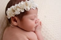 Image 4 of mini halo white et or 