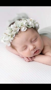 Image 2 of halo vert sauge clair et blanc 