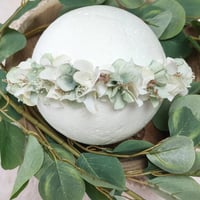 Image 1 of halo vert sauge clair et blanc 