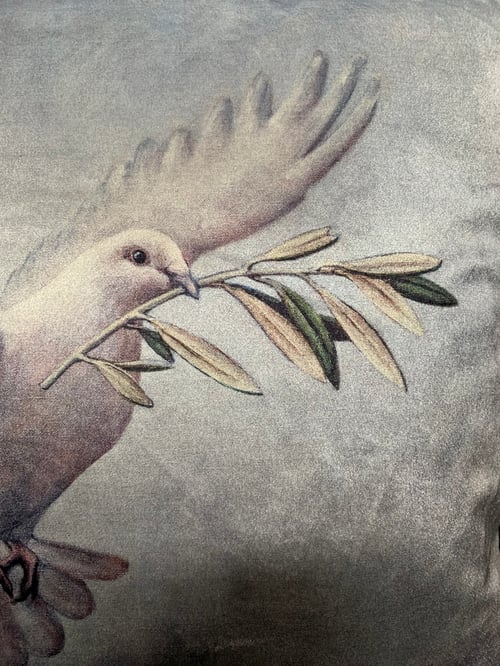 Image of Velvet Peace Dove Cushion