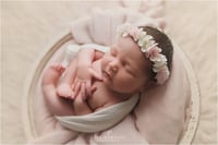 Image 2 of halo blanc et rose 