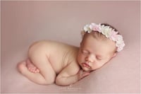 Image 3 of halo blanc et rose 