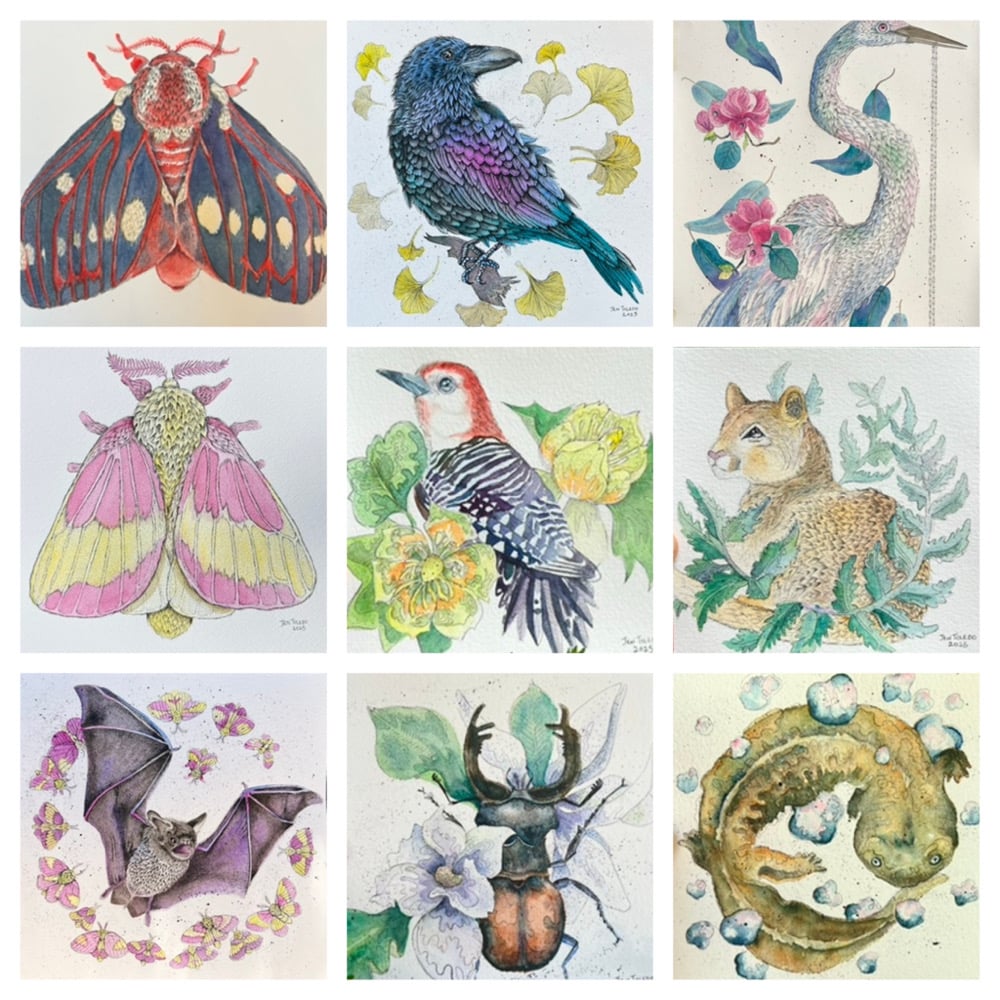 Image of Choose Your Animal Quick Commissions 