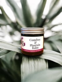 Image 1 of Comfrey & Plantain Balm