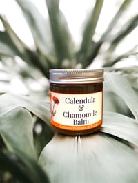 Image 1 of Calendula & Chamomile Balm