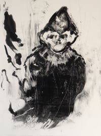 Image 1 of Behind the Jester